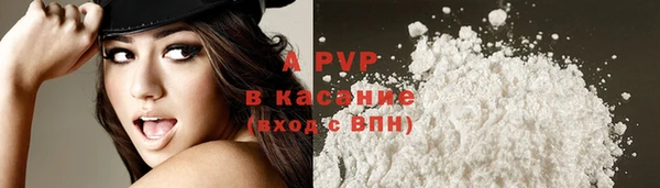 spice Аркадак