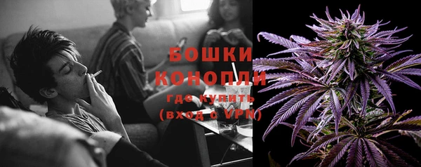 spice Аркадак