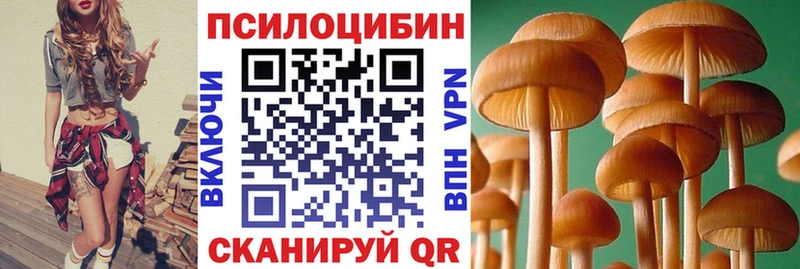 Псилоцибиновые грибы Magic Shrooms Балей